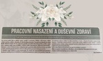 DDZ 2024